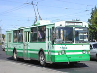 салатово-зеленой окраски партии 2001 года